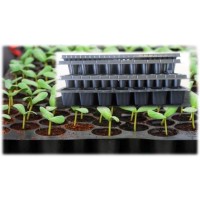Seedling Tray-4 Cavity-standard