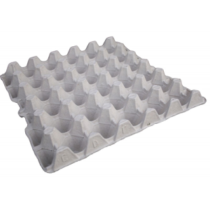FOO343 Egg Tray 30s.jpeg