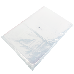 Ziplock Bag 350x450x100units