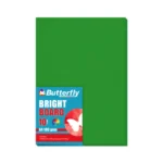 A4 160gsm - Green Bright 10 Pack
