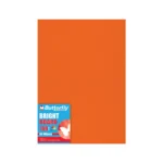 A3  Board 160gsm Orange Bright 5 Pack