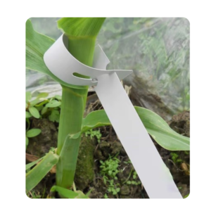 Plant Marker